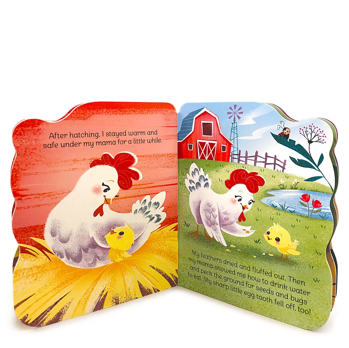 A LITTLE CHICK SHAPED BOARD BOOK