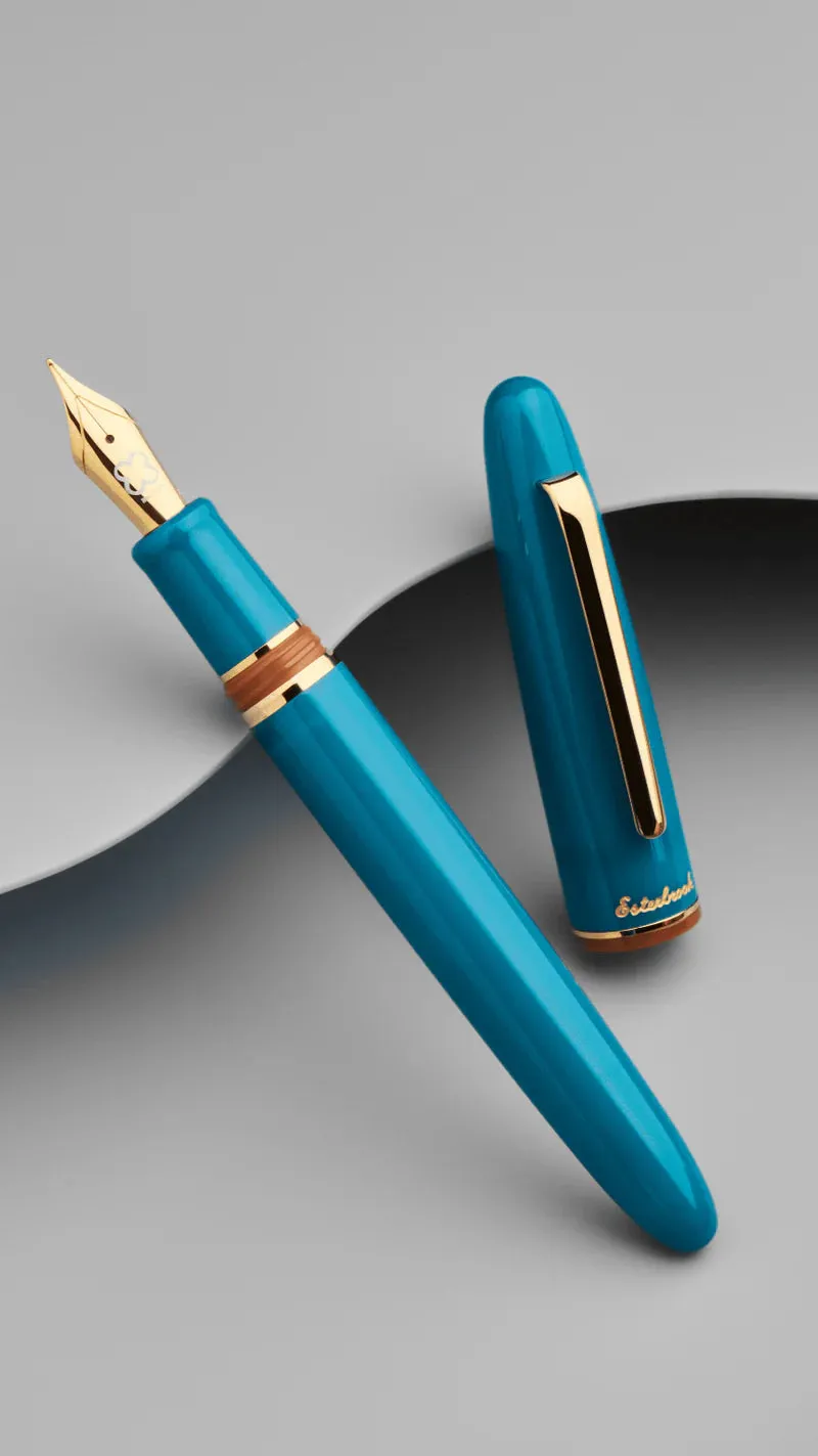 Back to the Land Fountain Pen