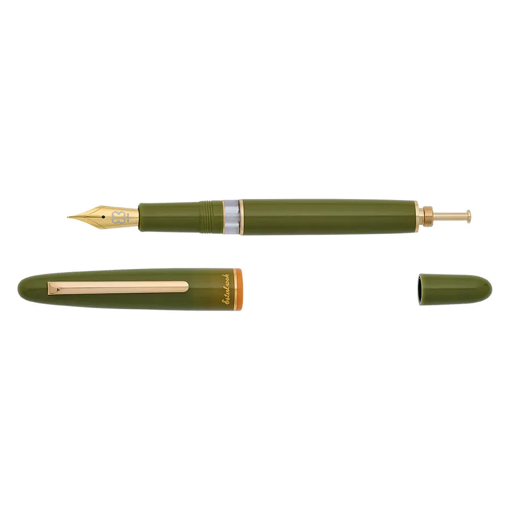 Back to the Land Fountain Pen
