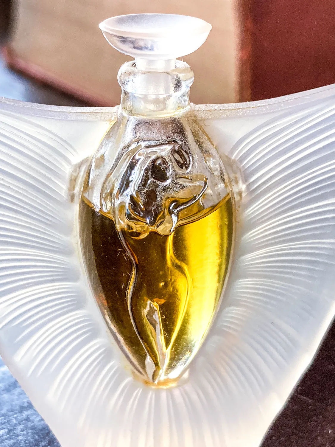 Lalique Les Falcons Collection Miniature Art Deco Perfume Bottles Display