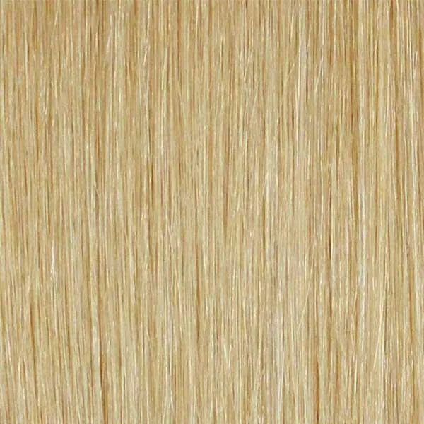 Mane Concept Lace Front Wig  - BSG209 PASADENA - Clearance