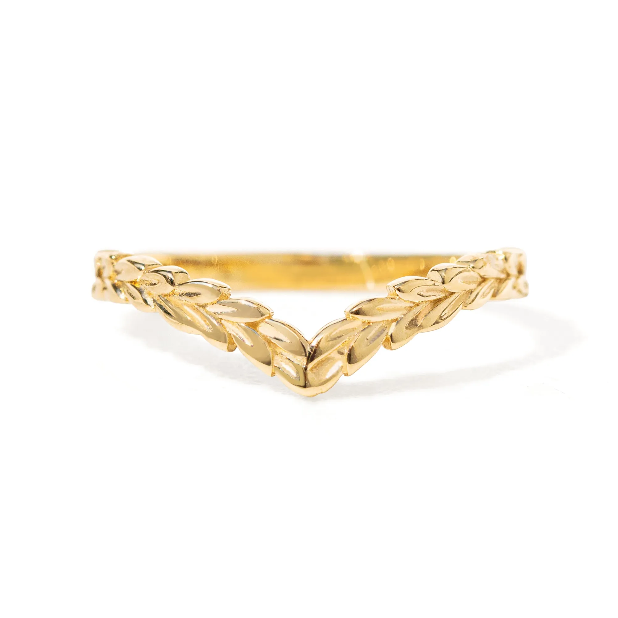 Meadow Chevron Band