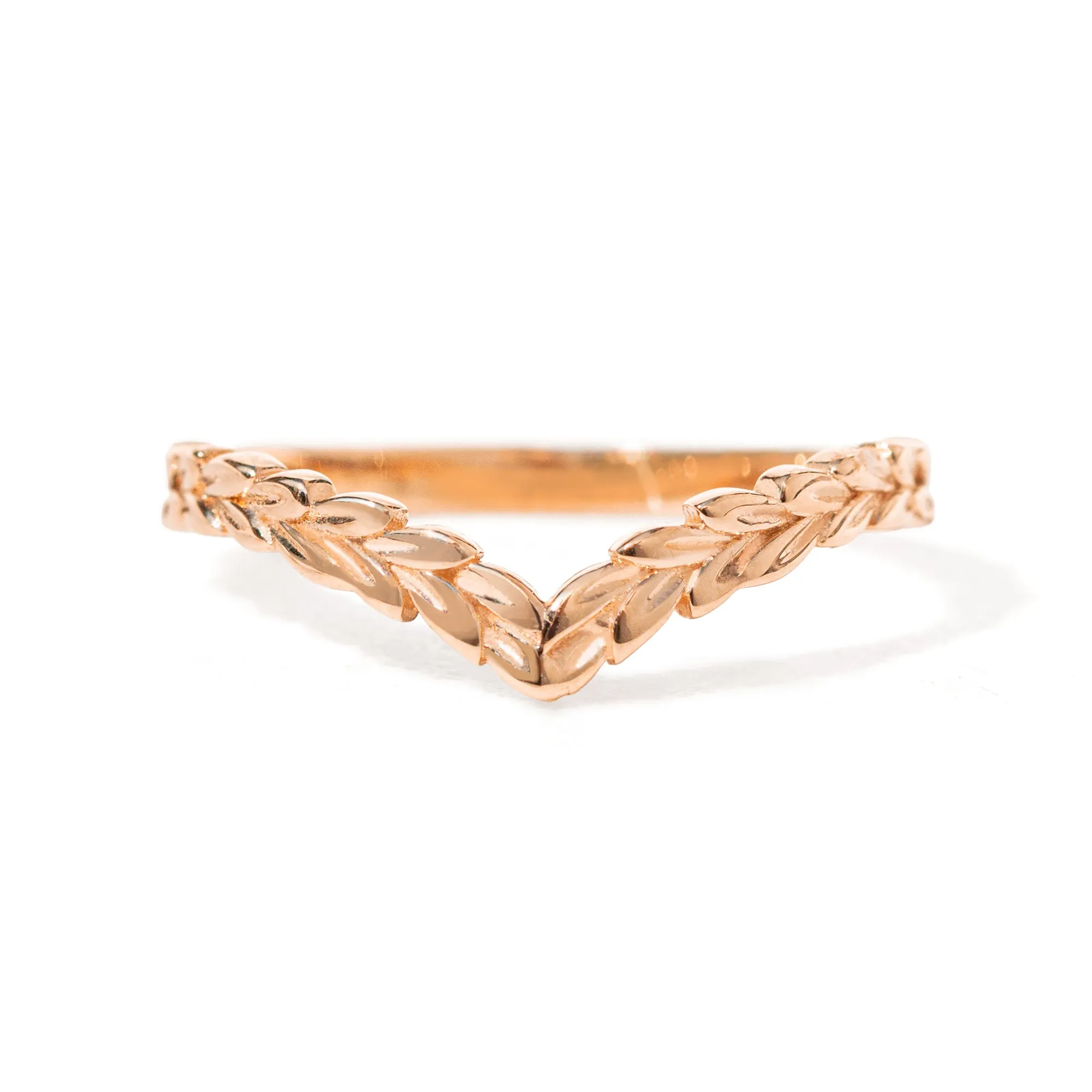 Meadow Chevron Band