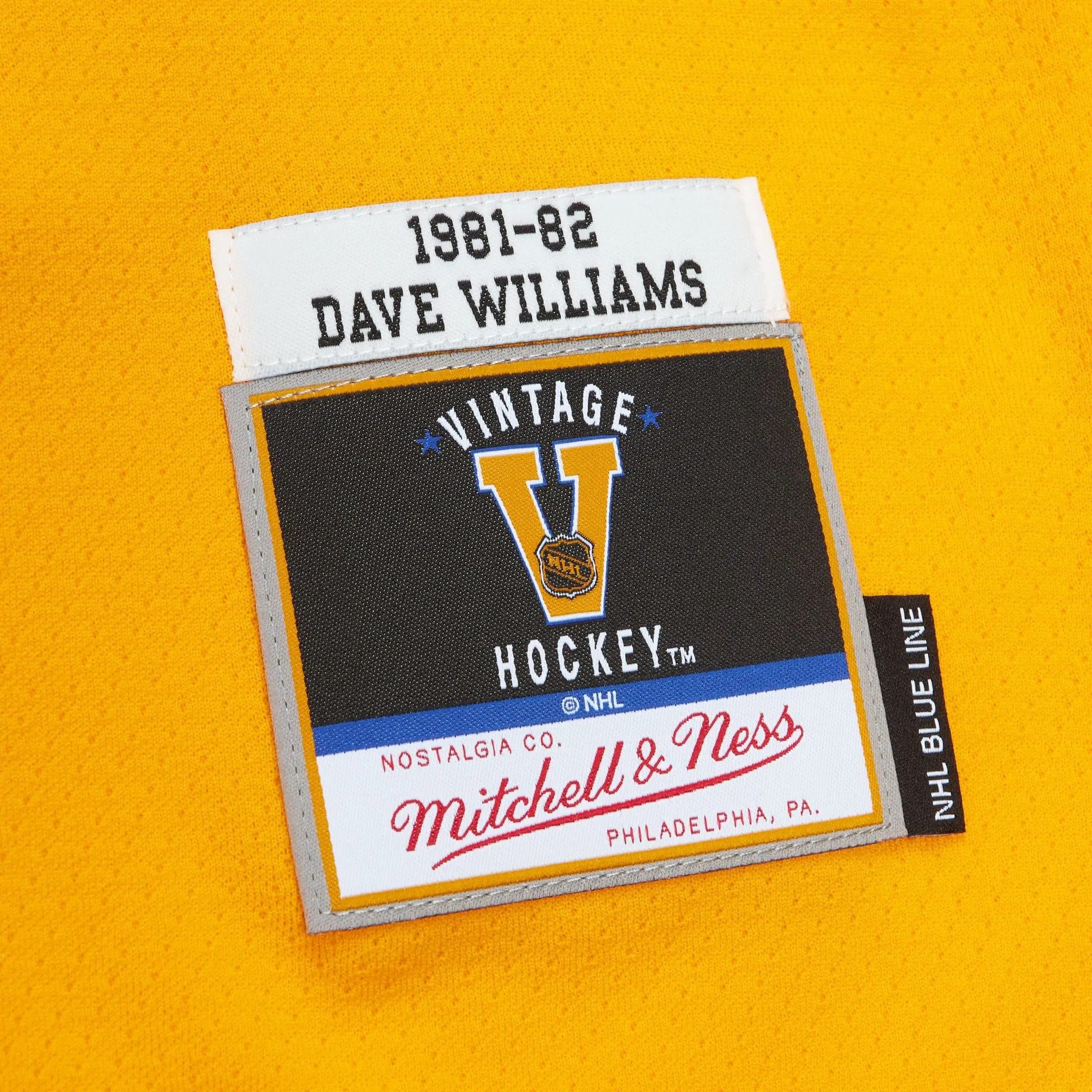 Mitchell & Ness Blue Line Vintage Senior Jersey - Vancouver Canucks Tiger Williams