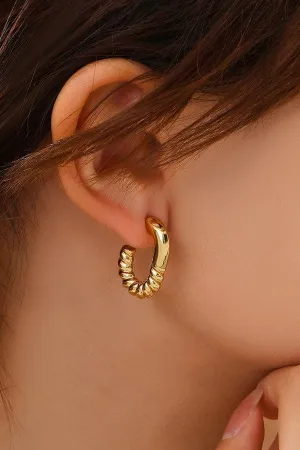 Oval Twisted Hoops In Gold