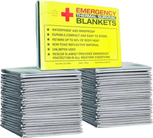 Rawyer (10 Pack) Emergency Thermal Survival Blankets, Mylar Blankets for Outdoor, Camping, Hiking, Survival in Harsh Weather, Large Silver Thermal Sheets, Heavy Duty Survival Gear (10, 84x52)