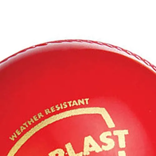 SG Everlast Leather Cricket Ball