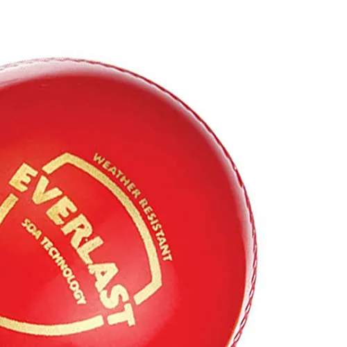SG Everlast Leather Cricket Ball