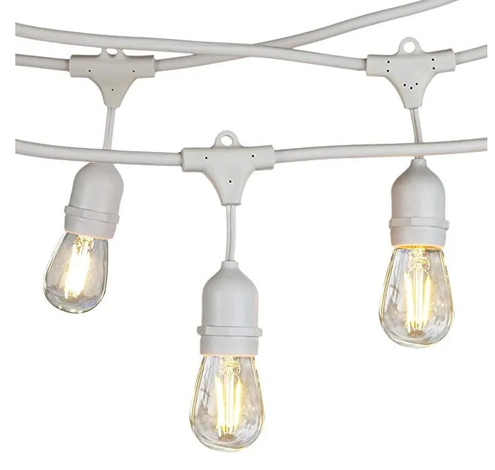 String Lights Rental - White - misc