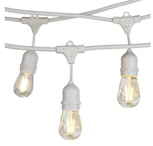 String Lights Rental - White - misc